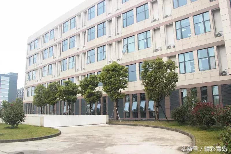 qst青软集团实训基地,qst青软实训基地在哪里