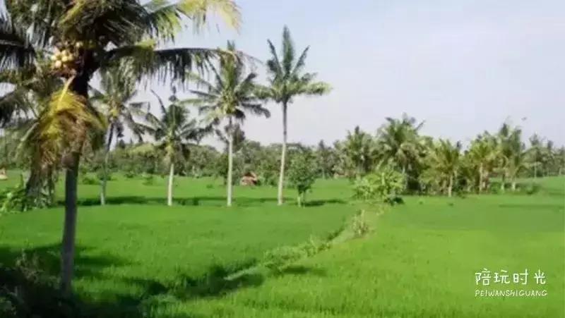 每一次出游都是满满的回忆,希望大家每一天过得开心快乐