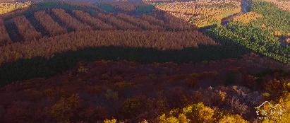 延吉帽儿山什么时候开放,延吉的帽儿山有多大面积