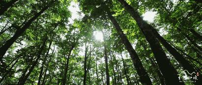 延吉帽儿山什么时候开放,延吉的帽儿山有多大面积