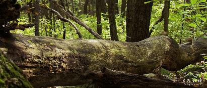 延吉帽儿山什么时候开放,延吉的帽儿山有多大面积