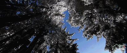 延吉帽儿山什么时候开放,延吉的帽儿山有多大面积