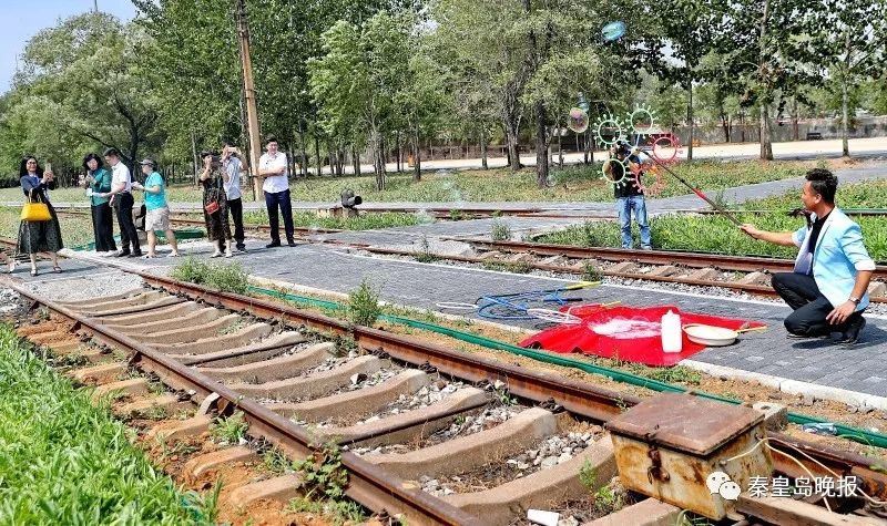 秦皇岛西港花园介绍,秦皇岛西港花园的花