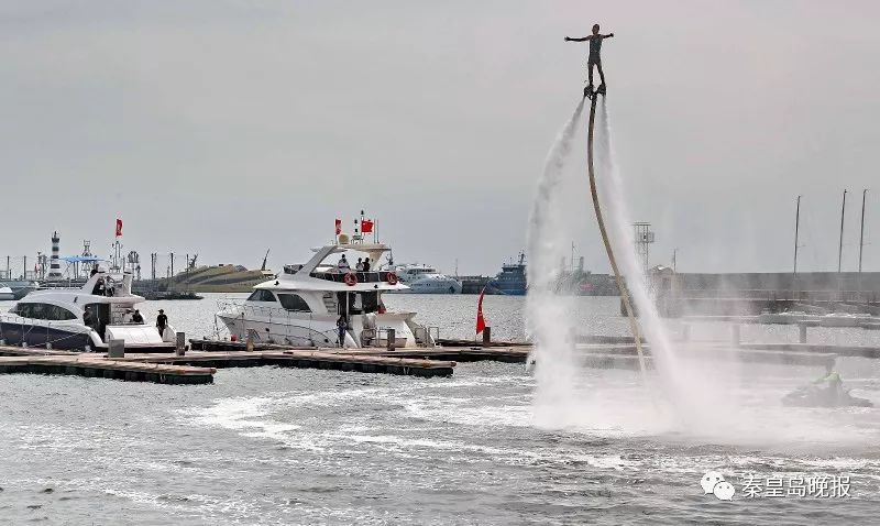 秦皇岛西港花园介绍,秦皇岛西港花园的花