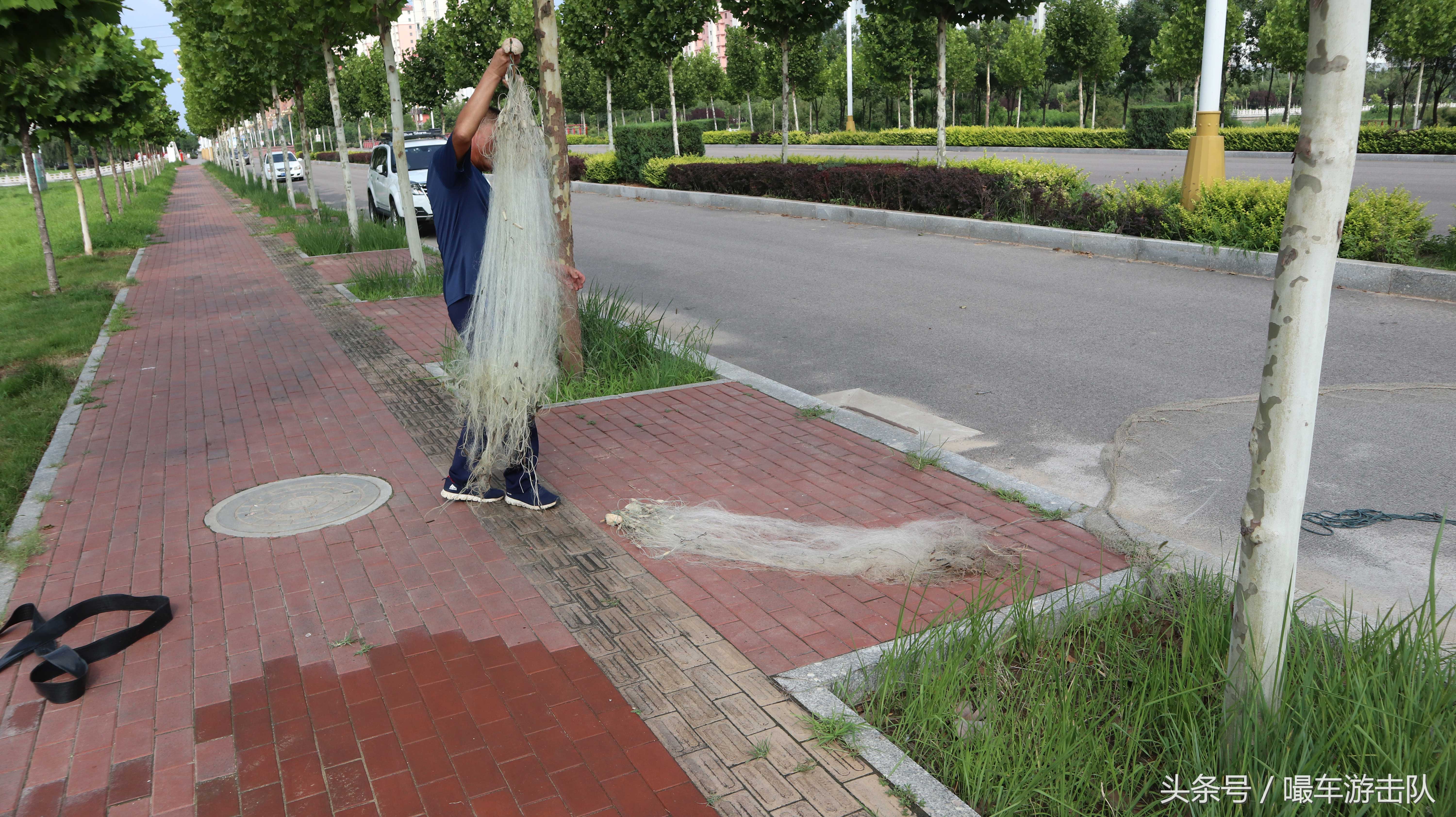 乐亭2日游攻略,免费景点绝对超过收费景区(第一天)