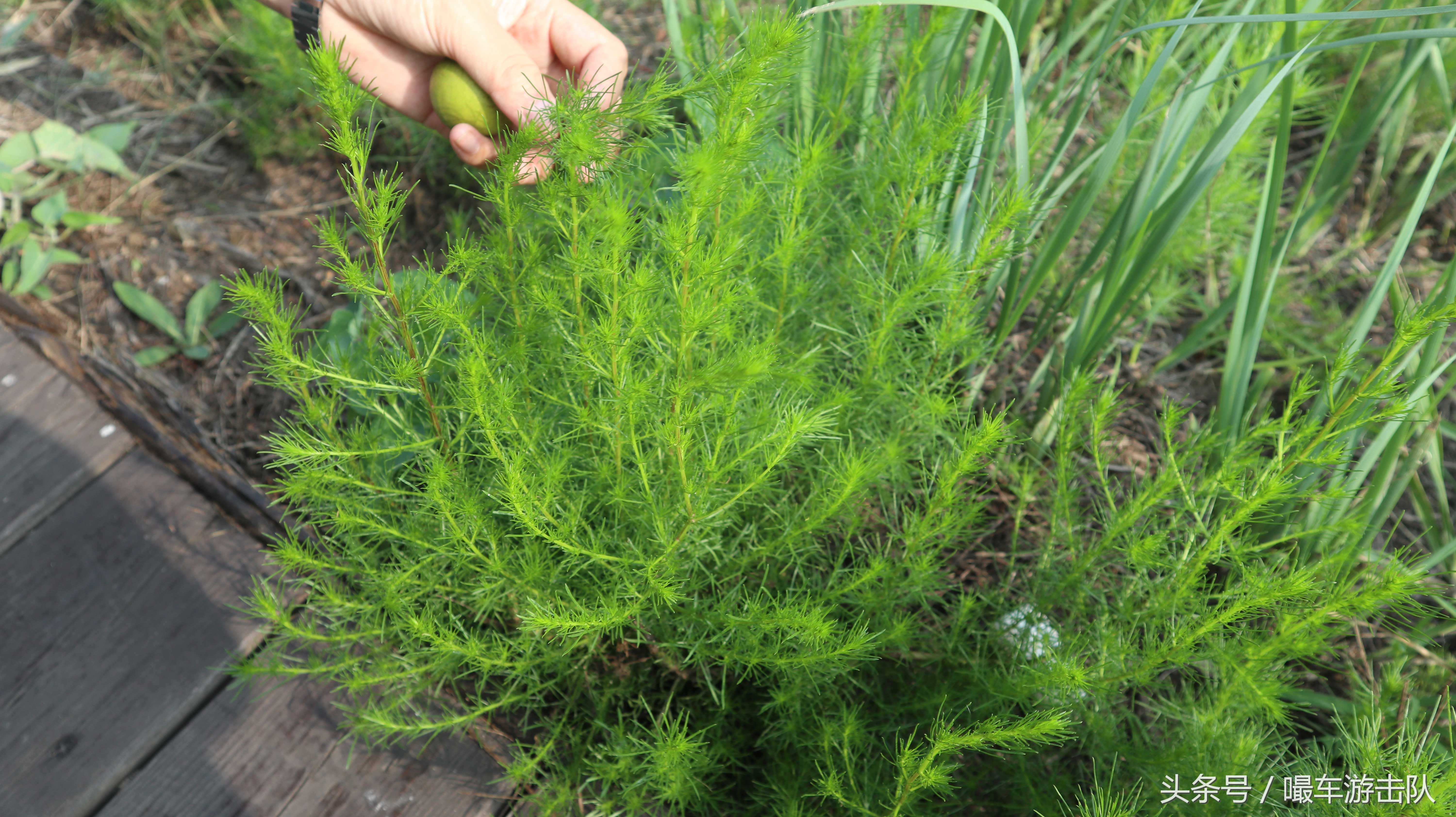 乐亭2日游攻略,免费景点绝对超过收费景区(第一天)