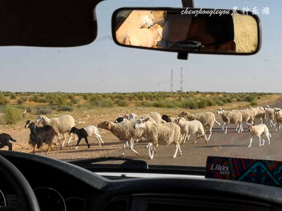 在撒哈拉沙漠看璀璨星空,在撒哈拉三毛书评