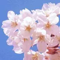 各种癌症预防方法,得了癌症最怕的10种方法