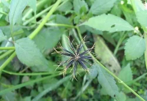 南阳人还去什么医院？你脚底下就是药房！