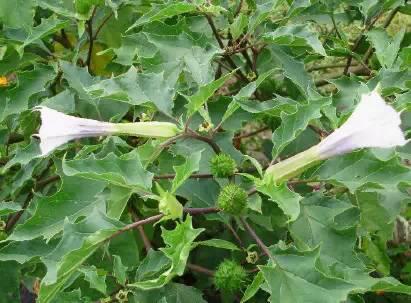 南阳人还去什么医院？你脚底下就是药房！