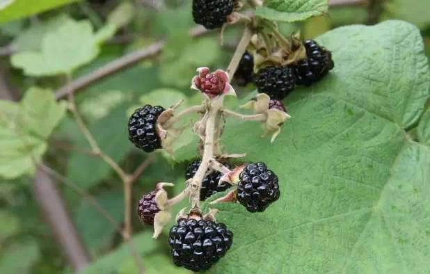 南阳人还去什么医院？你脚底下就是药房！