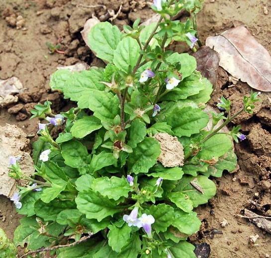 南阳人还去什么医院？你脚底下就是药房！