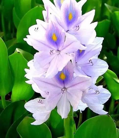 南阳人还去什么医院？你脚底下就是药房！