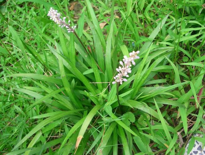 南阳人还去什么医院？你脚底下就是药房！