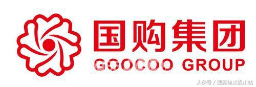 位列中国房地产开发69强的国购集团为什么会择址银川建房？