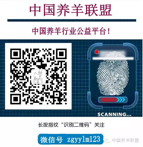 羊脑炎输液输什么药,羊脑炎打什么药更见效