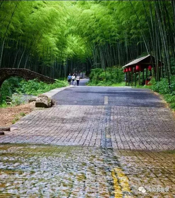 醉美中国——江苏