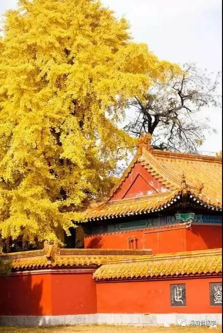 醉美中国——江苏