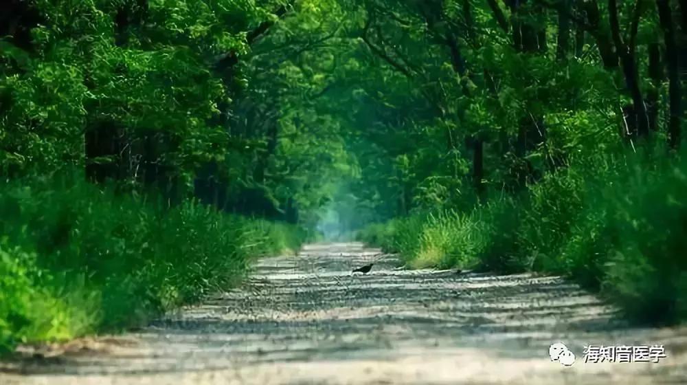 醉美中国——江苏