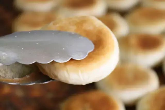 西安最火的网红小吃,西安好吃街当今最火小吃