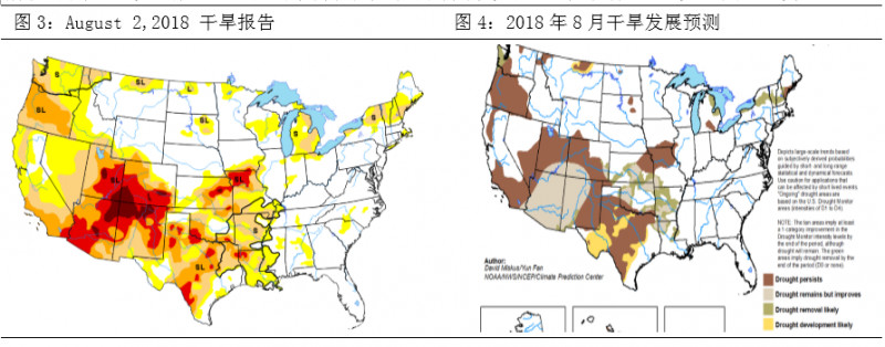 棉花期货郑棉跟随美棉涨跌,棉花郑棉期货最新走势图