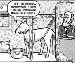 人和大猩猩有没有生殖隔离,人类与大猩猩之间有隔离的现象吗