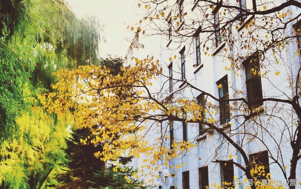 这所中医药大学没有赶上“双一流”的春风，但中药学全国最强！