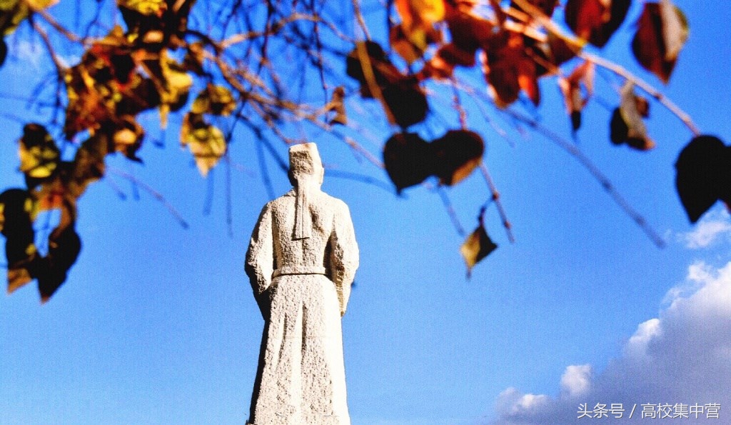 这所中医药大学没有赶上“双一流”的春风，但中药学全国最强！