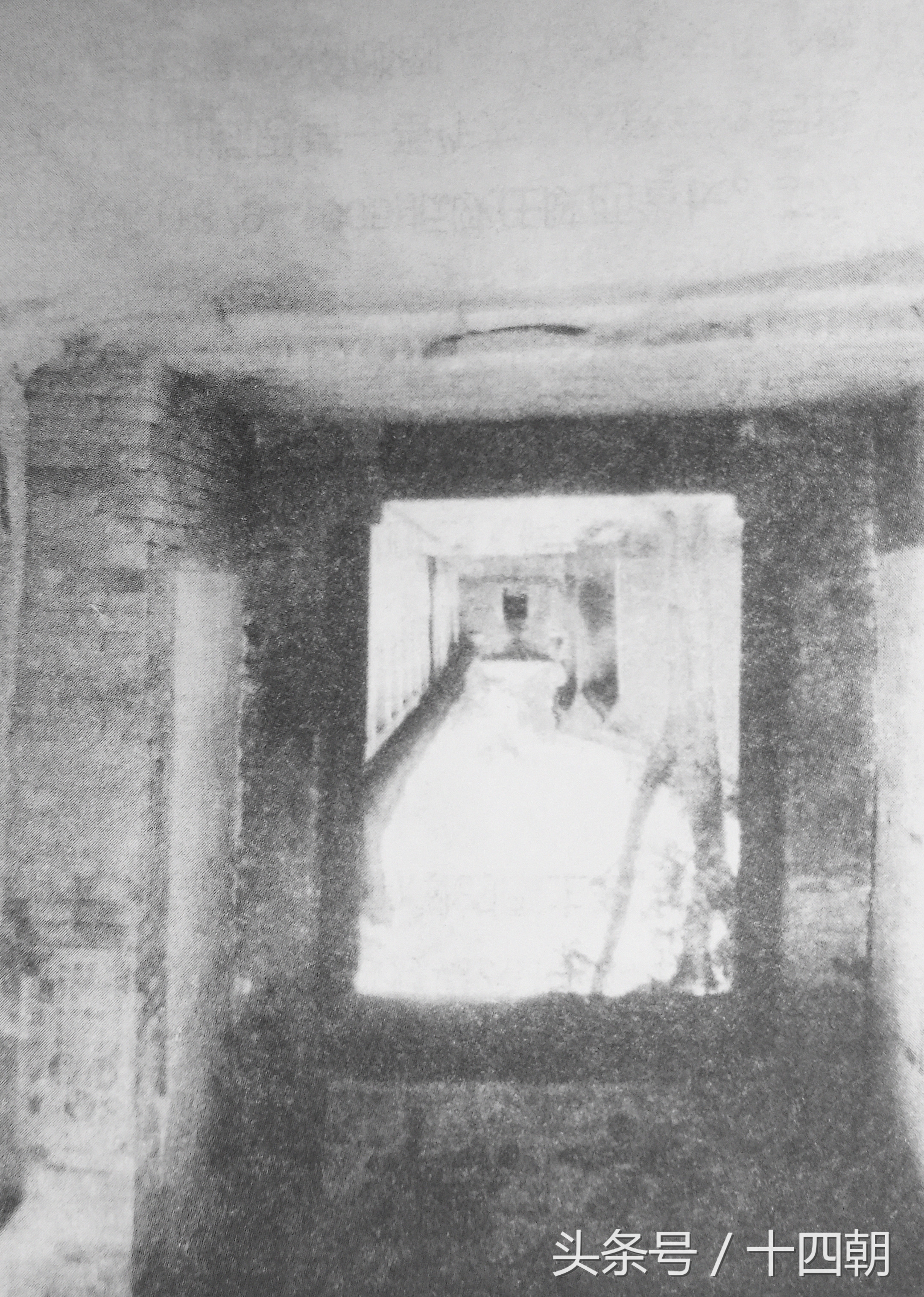 流失海外的国宝偷回来,被法国偷走的国宝