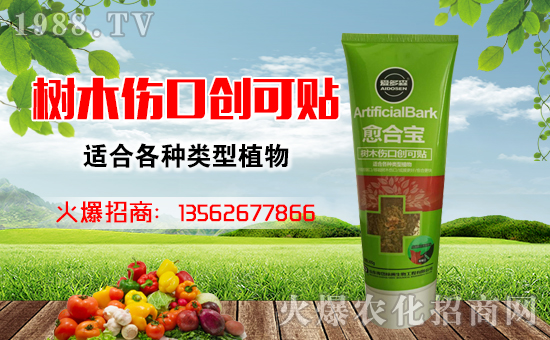 树木伤口愈合剂愈合后效果,树木伤口愈合用什么药好得快
