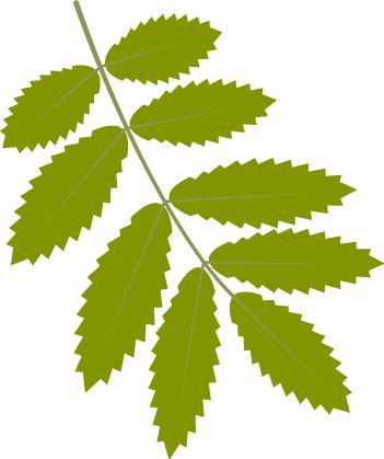 绁炵粡鍐呯鍓嶆部鐭ヨ瘑,绁炵粡鍐呯鐩稿叧鏂扮煡璇嗘柊杩涘睍