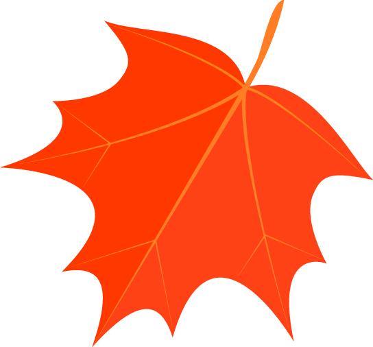 绁炵粡鍐呯鍓嶆部鐭ヨ瘑,绁炵粡鍐呯鐩稿叧鏂扮煡璇嗘柊杩涘睍