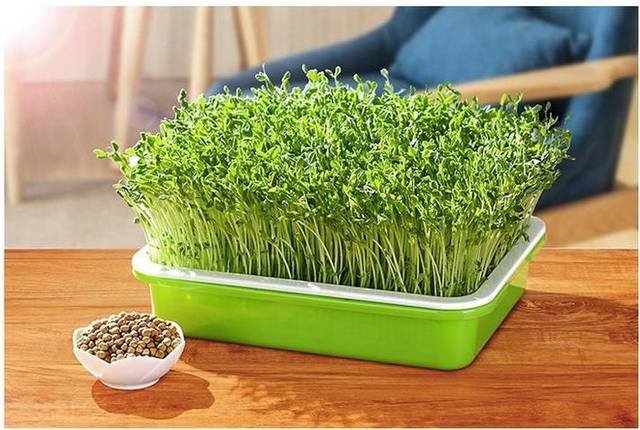 三农农业赚钱方式有几种,新型农业9大商业模式