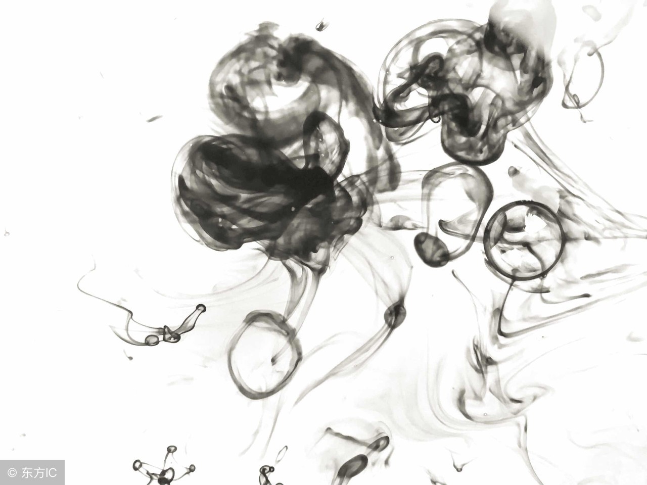 中国书法与墨法联系,中国书法体式