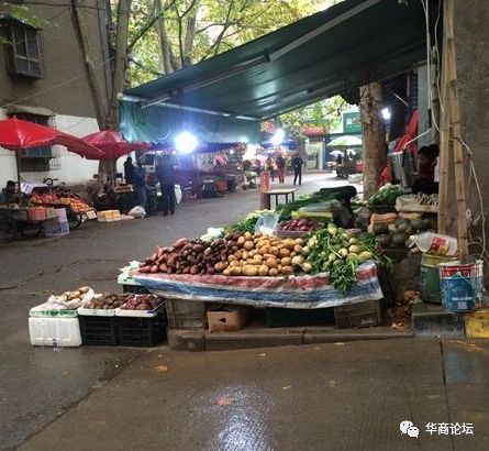 城管占道经营商户不服气,向城管投诉占道经营不作为