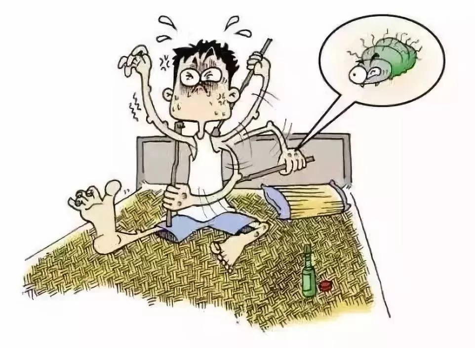 枕头里藏着大量螨虫你敢睡？教你一招快速杀死螨虫
