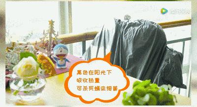 枕头里藏着大量螨虫你敢睡？教你一招快速杀死螨虫