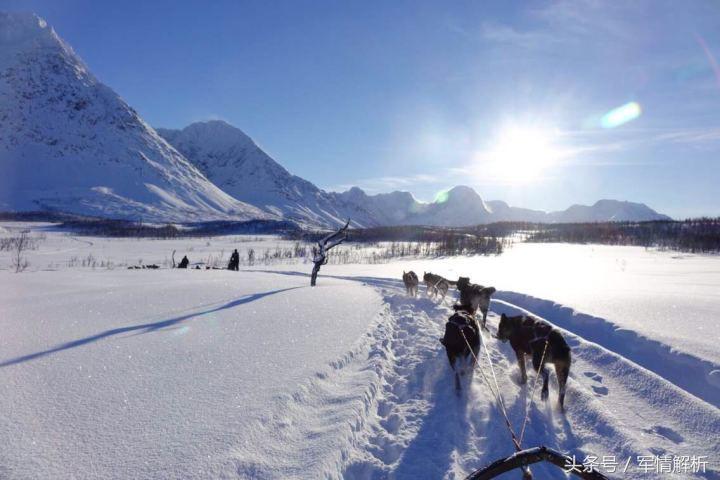 雪橇三傻是军犬吗,雪橇三傻当军犬
