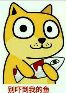 耗儿鱼有什么特点,正宗耗儿鱼长什么样子