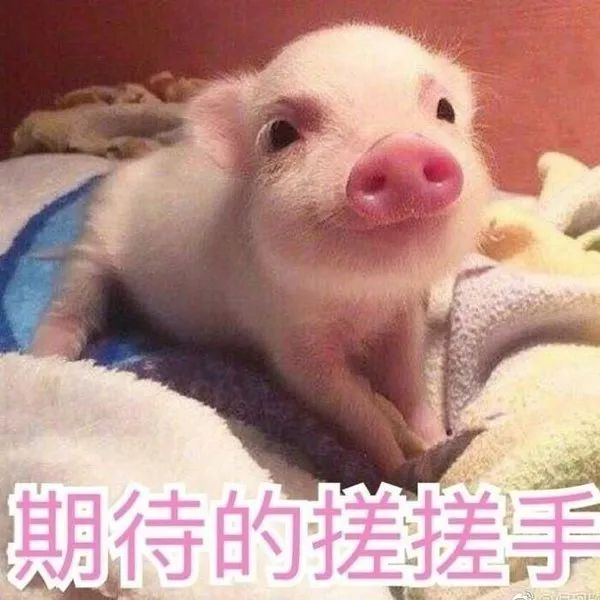 常见服装面料中英文对照!了解一下,再也不怕洗毁衣服!