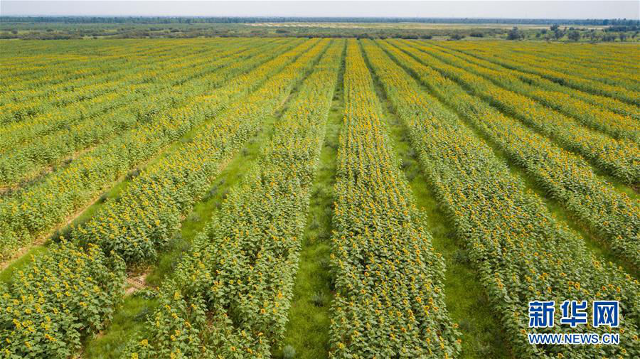 天空之眼瞰七彩盐湖,天空之眼瞰洛阳