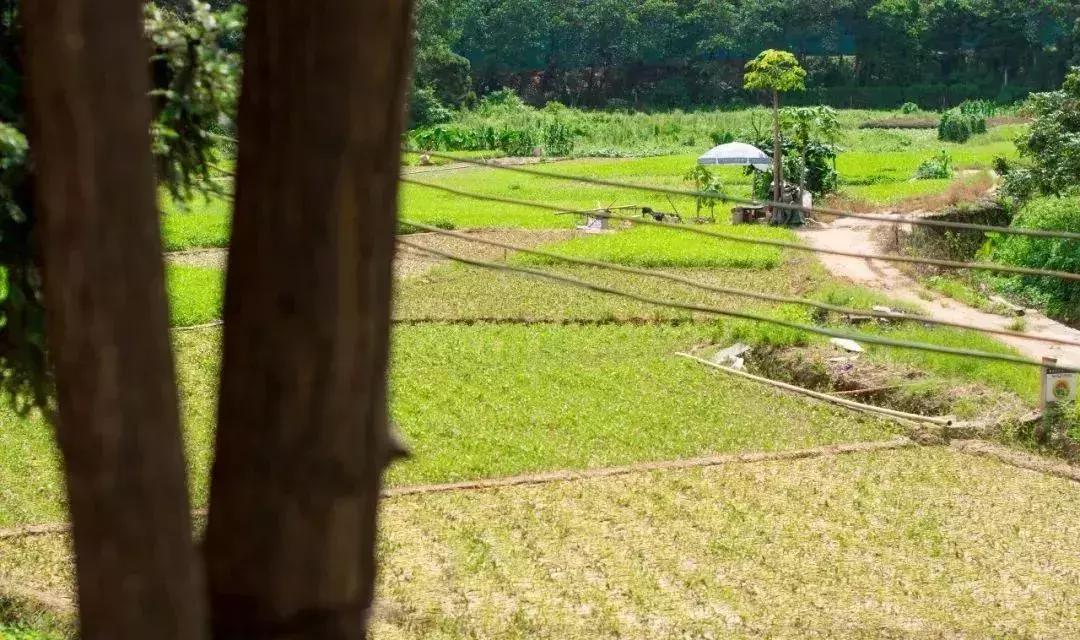 深圳足球公园免费开放,深圳南山免费足球场
