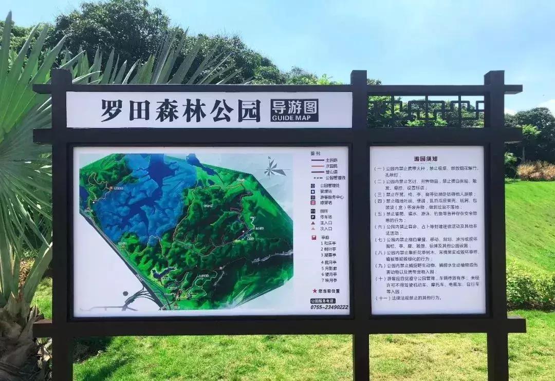 深圳足球公园免费开放,深圳南山免费足球场