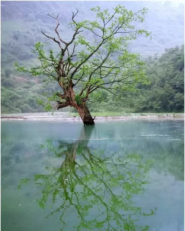 乐山夏天旅游,乐山的风景真美丽