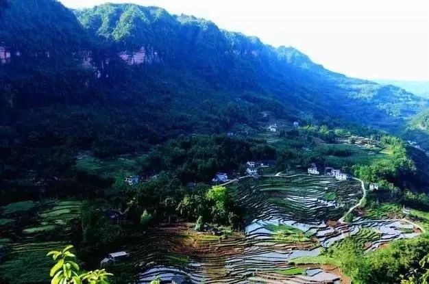 乐山夏天旅游,乐山的风景真美丽