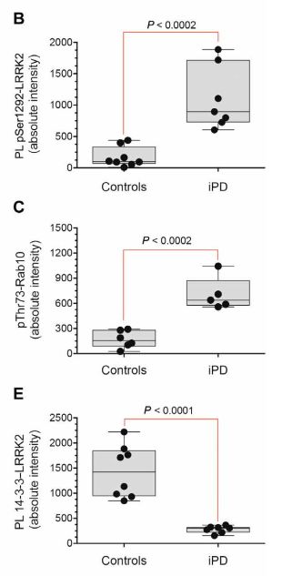 《科学》子刊:科学家首次证实正常的LRRK2基因也会促进帕金森病,90%发病原因不明的患者或许也有救了|科学大发现