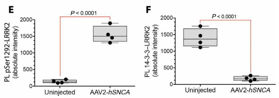 《科学》子刊:科学家首次证实正常的LRRK2基因也会促进帕金森病,90%发病原因不明的患者或许也有救了|科学大发现