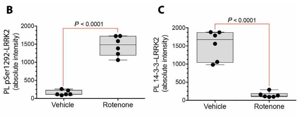 《科学》子刊:科学家首次证实正常的LRRK2基因也会促进帕金森病,90%发病原因不明的患者或许也有救了|科学大发现