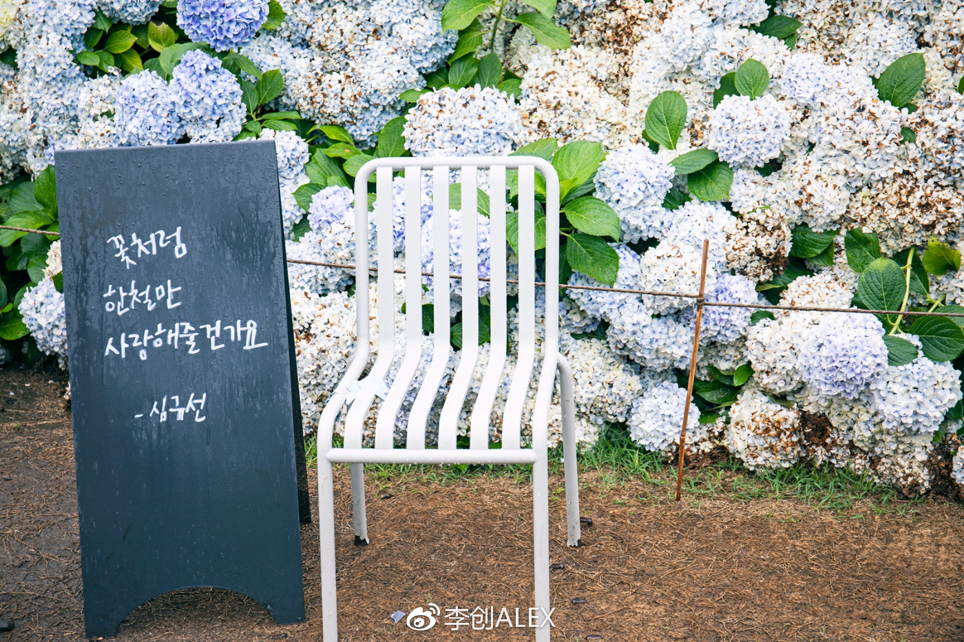 没坐过飞机韩国济州岛旅游攻略,韩国济州岛怎么去最省钱