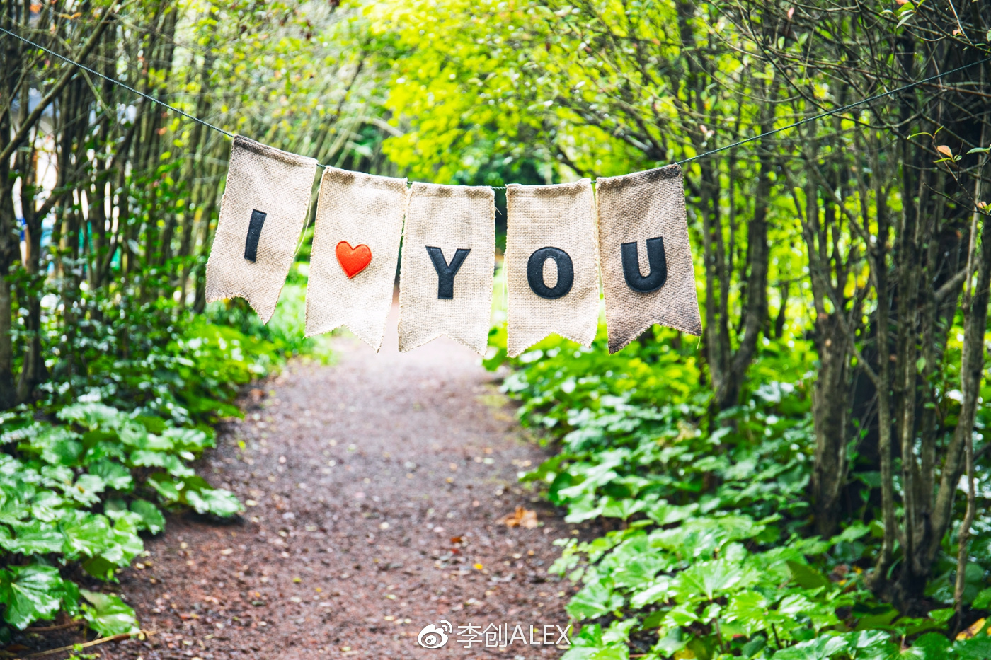 没坐过飞机韩国济州岛旅游攻略,韩国济州岛怎么去最省钱